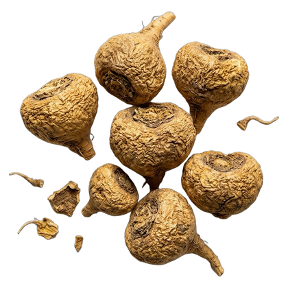 Maca Root