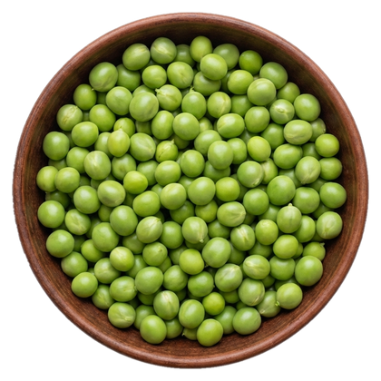 Pea Protein